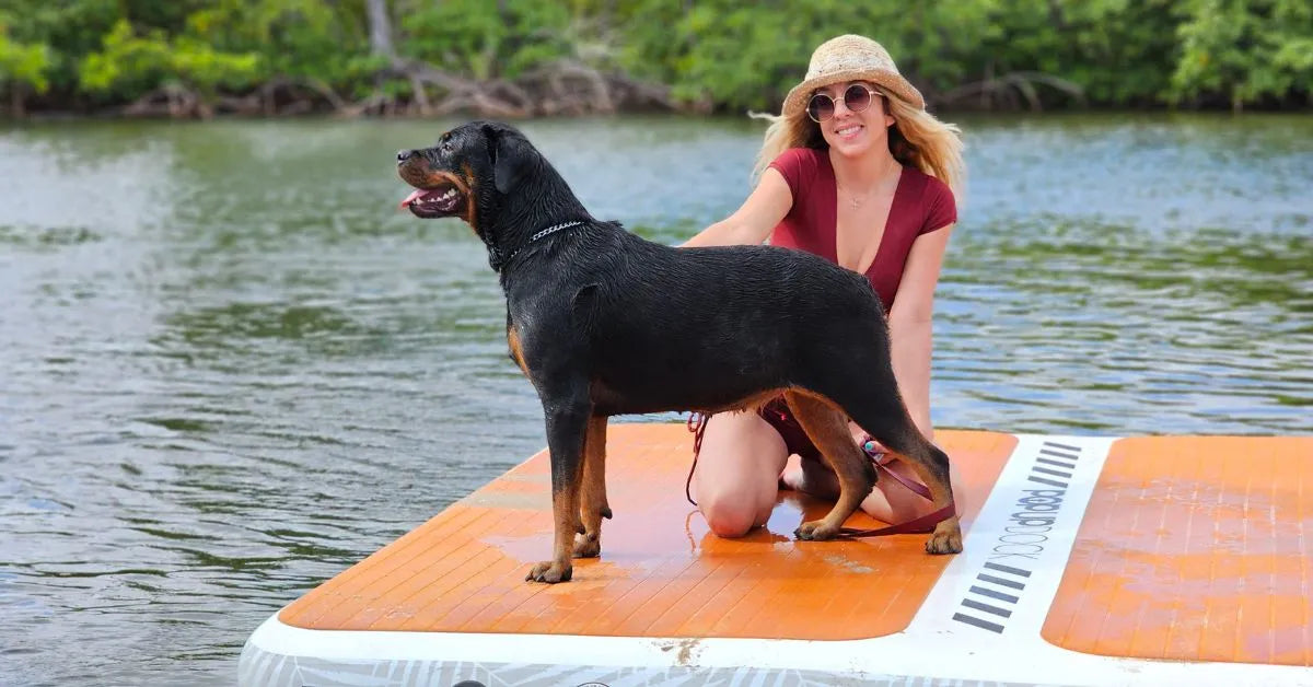 Discover Why Families Love Inflatable Docks